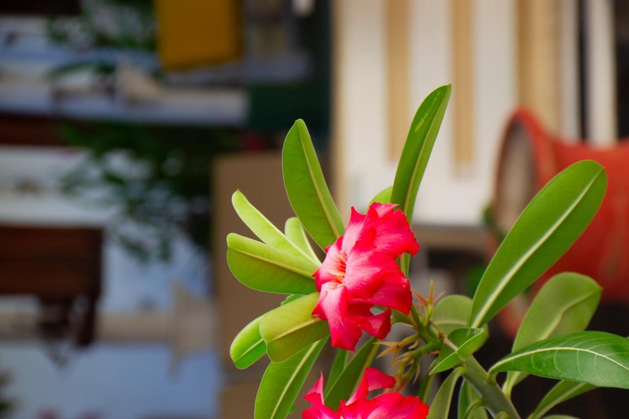 Pousada Tropicalia カノア・ケブラーダ エクステリア 写真